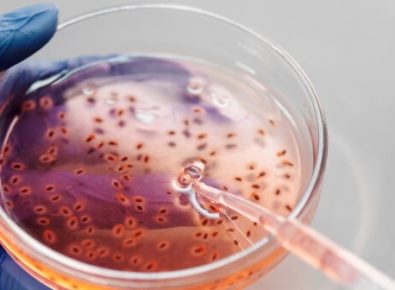 Científico en laboratorio demuestra por qué no se debe abusar de los antibióticos